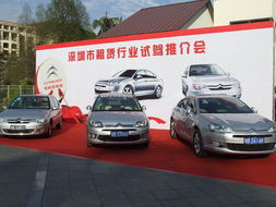 強(qiáng)強(qiáng)聯(lián)手 東風(fēng)雪鐵龍汽車(chē)租賃行業(yè)試駕會(huì)圓滿舉行