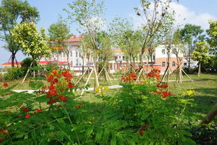 雅色村綠化工程竣工 生態(tài)畫卷添新景，高清美圖共賞時(shí)